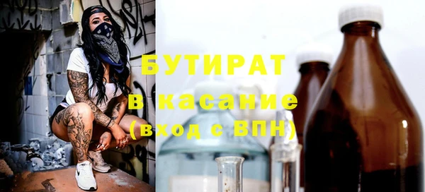 шишки Аркадак