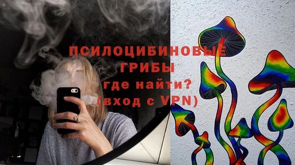 шишки Аркадак