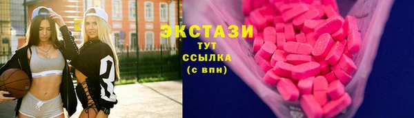 шишки Аркадак