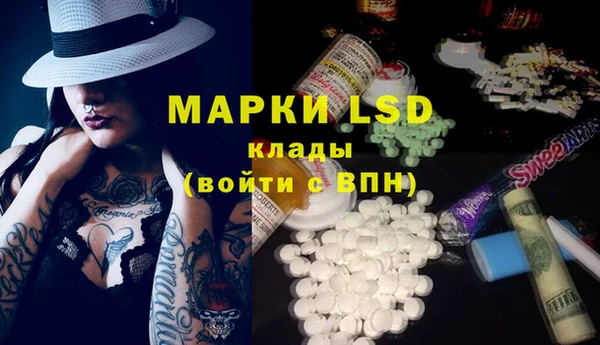 шишки Аркадак