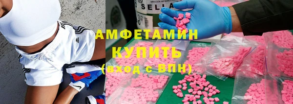 шишки Аркадак