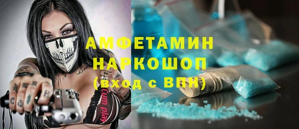шишки Аркадак