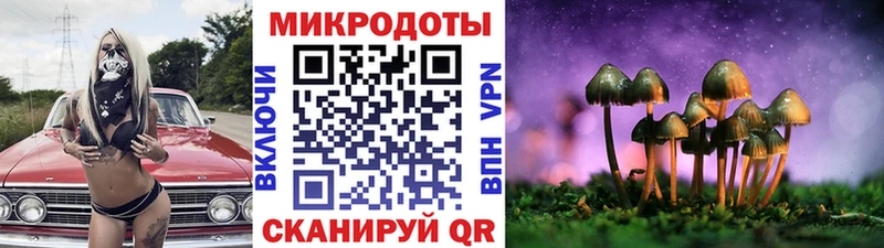 купить закладку  Спасск  Галлюциногенные грибы Magic Shrooms 